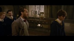 Tráiler Comic-Con 'Animales Fantásticos: Los crímenes de Grindelwald'