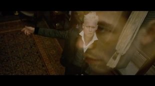 Tráiler español 'Animales fantásticos: Los crímenes de Grindelwald' #2