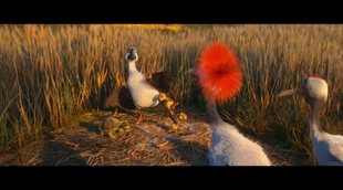 Tráiler español 'Al aire, patos'