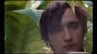 Clip Subtitulado 'Lazzaro Feliz'