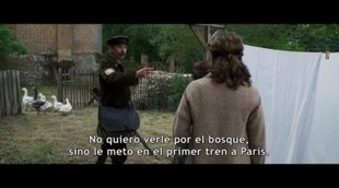 Tráiler subtitulado español 'La escuela de la vida'