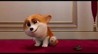 Trailer 'The Queen's Corgi'