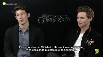 Los flashbacks de Theseus Scamander eliminados de 'Animales Fantásticos: Los crímenes de Grindelwald'