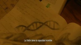 Tráiler subtitulado 'Viaje a Nara (Vision)'