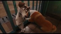 Tráiler español 'Corgi, las mascotas de la reina'