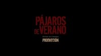 Clip #4 'Pájaros de verano'