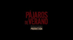 Clip #4 'Pájaros de verano'