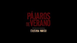 Clip #5 'Pájaros de verano'