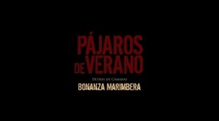 Clip #6 'Pájaros de verano'