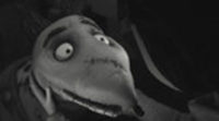 Tráiler español 'Frankenweenie'