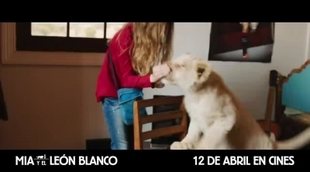 Spot 'Mia y el león blanco'