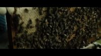 Tráiler oficial 'El secreto de las abejas'