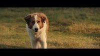 Tráiler corto 'Tu mejor amigo'