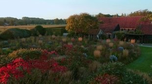 Tráiler 'Five Seasons: The Gardens of Piet Oudolf'