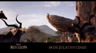 Spot 'El Rey León': El ciclo de la vida