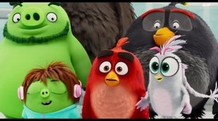 Tráiler final español 'Angry Birds 2'