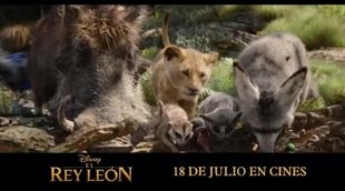 Spot 'El Rey León': Timón y Pumba