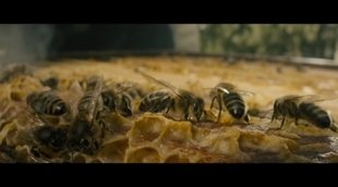 Clip #1 'El secreto de las abejas'