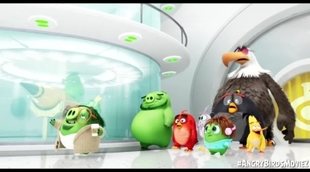 Clip 'Angry Birds 2: La película': Invisi-Spray