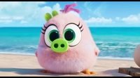 Clip #2 'Angry Birds 2: La película': La que has liado pollito