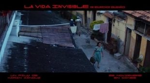 Promo "Guida" - 'La vida invisible de Eurídice Gusmão'