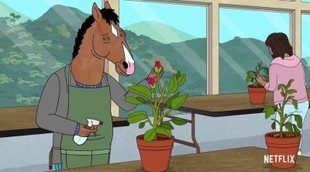 Tráiler Temporada 6 'BoJack Horseman'