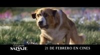 Spot en español 'La llamada de lo salvaje' - "Destino"