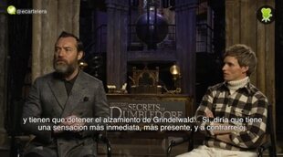 Eddie Redmayne: "'Los secretos de Dumbledore' es como una 'Ocean's Eleven' mágica"