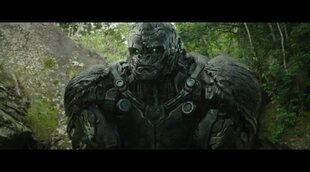 Tráiler español 'Transformers: El despertar de las Bestias'