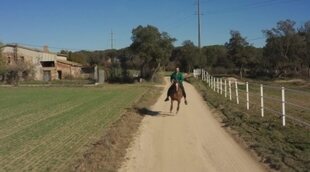 Tráiler 'Hermano caballo'