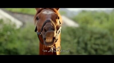 Tráiler en inglés 'Ride On'