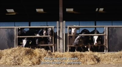 Tráiler 'Ganado o desierto'