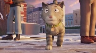 Tráiler 'El Gato Tabby'