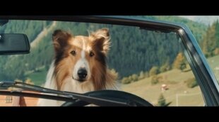 Tráiler español 'Lassie: Una nueva aventura'