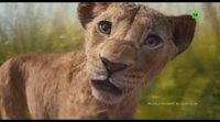 Tráiler español 'Mufasa: El Rey León'