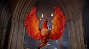 Tráiler 'Harry Potter: Los magos de la repostería'