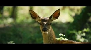 Tráiler VO 'Bambi: A Tale in the Woods'