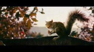 Teaser tráiler de 'Squirrels'