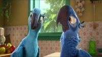 Tráiler 'Rio 2'