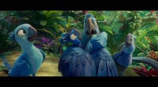 Tráiler español 'Rio 2'