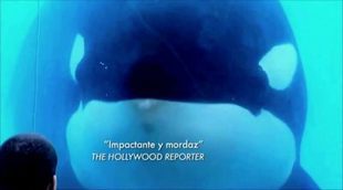 Tráiler 'Blackfish'