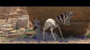 Tráiler español 'Khumba'