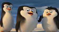 Tráiler 'Los pingüinos de Madagascar'