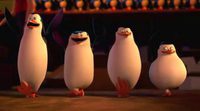 Tráiler 'Los pingüinos de Madagascar' #2