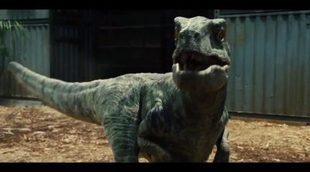 Tráiler 'Jurassic World' #4