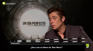 Benicio Del Toro: "Con las películas buscamos la verdad y entretener"