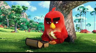 Teaser 'Angry Birds'