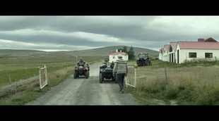 Tráiler 'Rams (El valle de los carneros)'