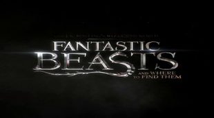 Avance Tráiler 'Animales fantásticos y dónde encontrarlos'