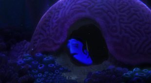 Teaser español 'Buscando a Dory'